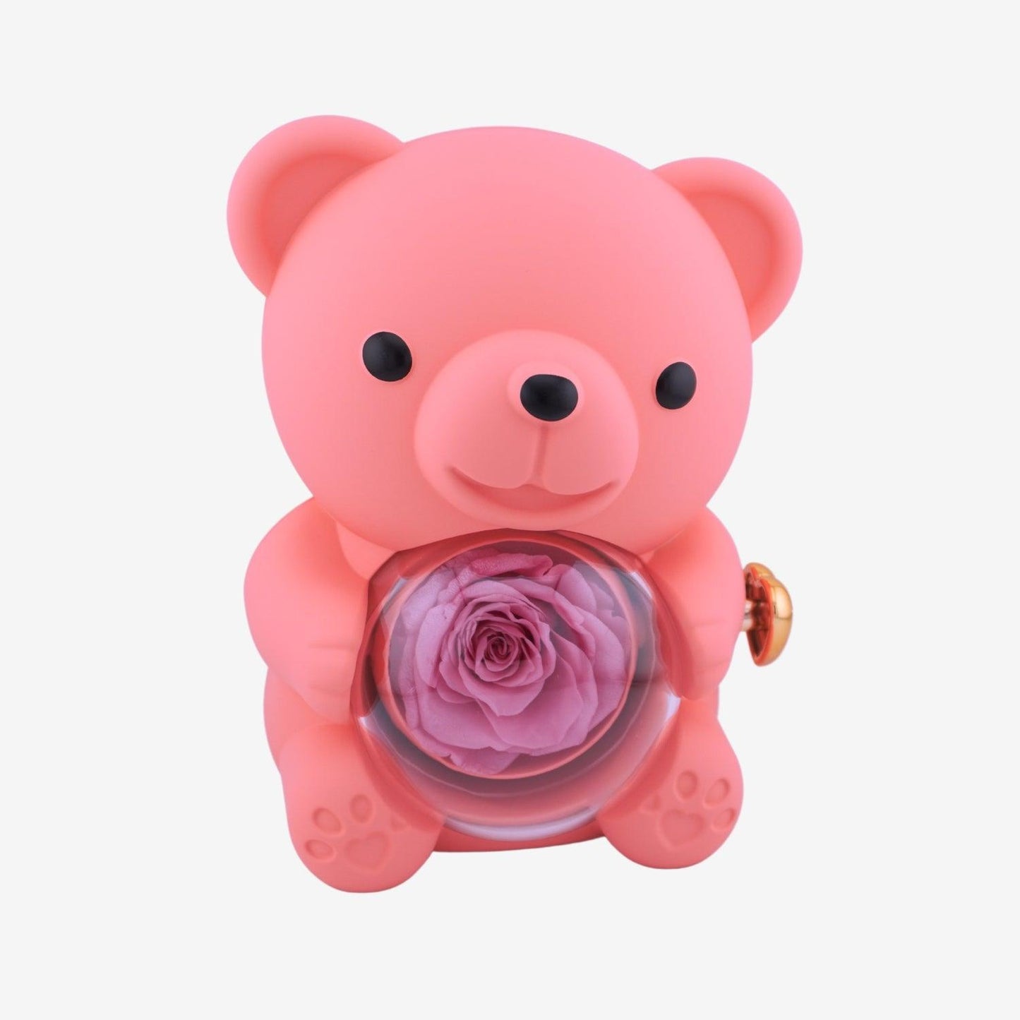 Eternal Rose Bear with Engraved Necklace - Aiora