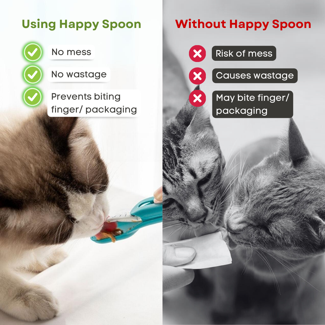 Happy Spoon - Aiora