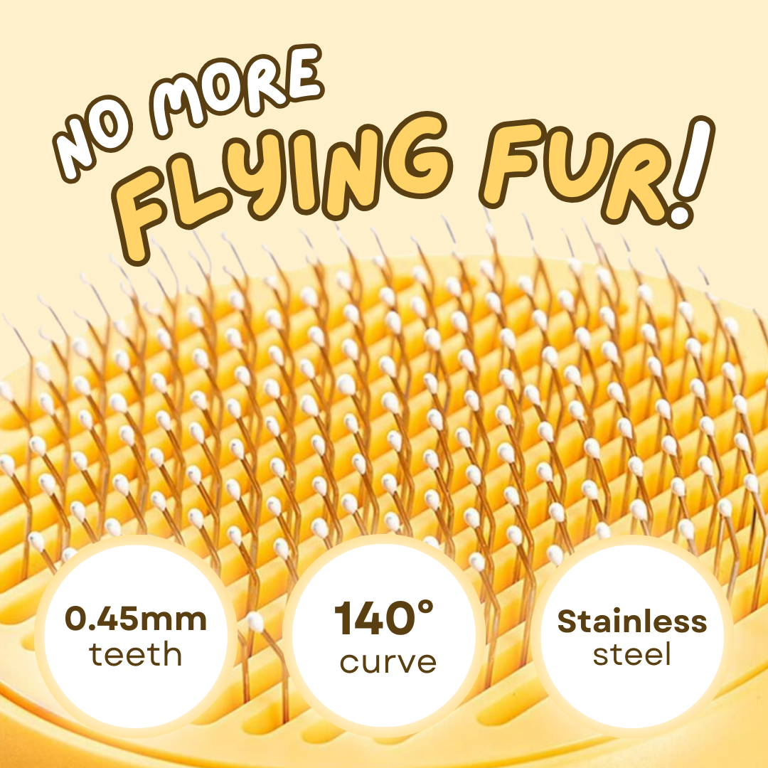 All-in-1 Cat Brush - Aiora